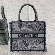 Christian Dior Shopping Bags